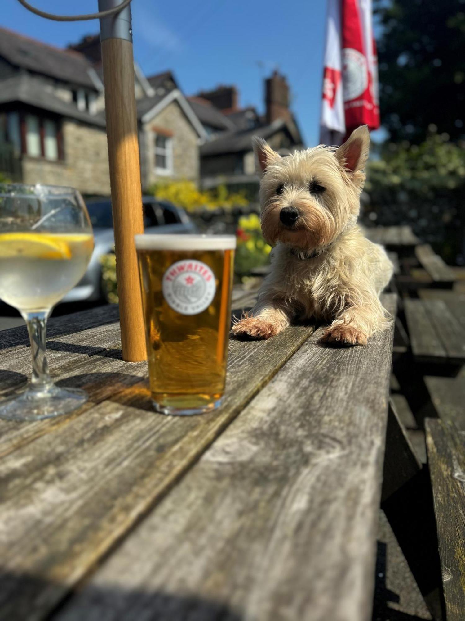 英格尔顿 Craven Heifer酒店 外观 照片